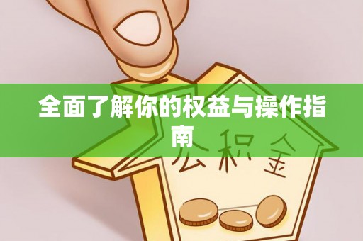 察布查尔锡伯全面了解你的权益与操作指南