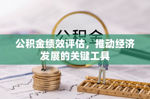 察布查尔锡伯公积金绩效评估，推动经济发展的关键工具