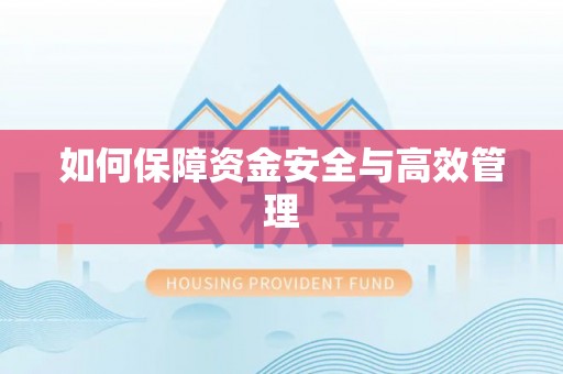 察布查尔锡伯如何保障资金安全与高效管理