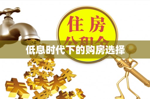 察布查尔锡伯低息时代下的购房选择
