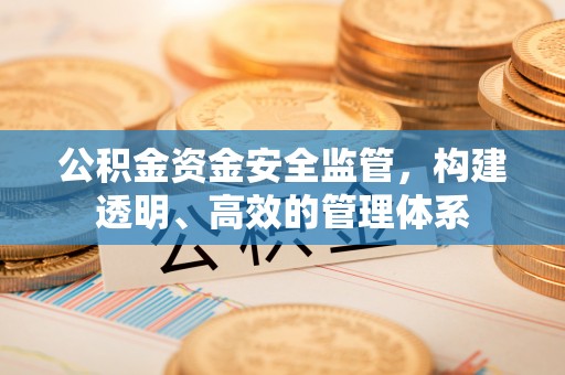 察布查尔锡伯公积金资金安全监管，构建透明、高效的管理体系