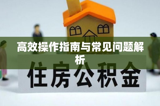察布查尔锡伯高效操作指南与常见问题解析