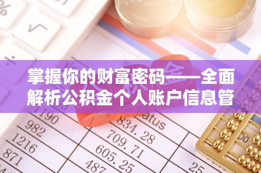 察布查尔锡伯掌握你的财富密码——全面解析公积金个人账户信息管理与优化