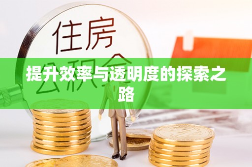 察布查尔锡伯提升效率与透明度的探索之路