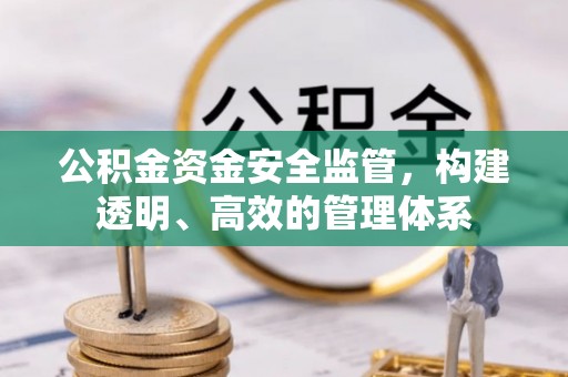 察布查尔锡伯公积金资金安全监管，构建透明、高效的管理体系