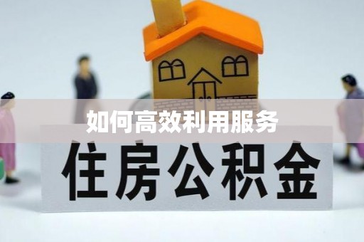 察布查尔锡伯如何高效利用服务