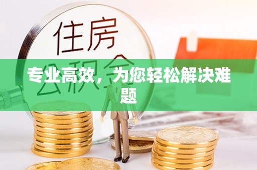 察布查尔锡伯专业高效，为您轻松解决难题