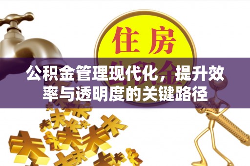 察布查尔锡伯公积金管理现代化，提升效率与透明度的关键路径