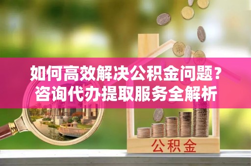 察布查尔锡伯如何高效解决公积金问题？咨询代办提取服务全解析