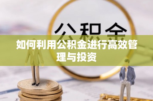 察布查尔锡伯如何利用公积金进行高效管理与投资